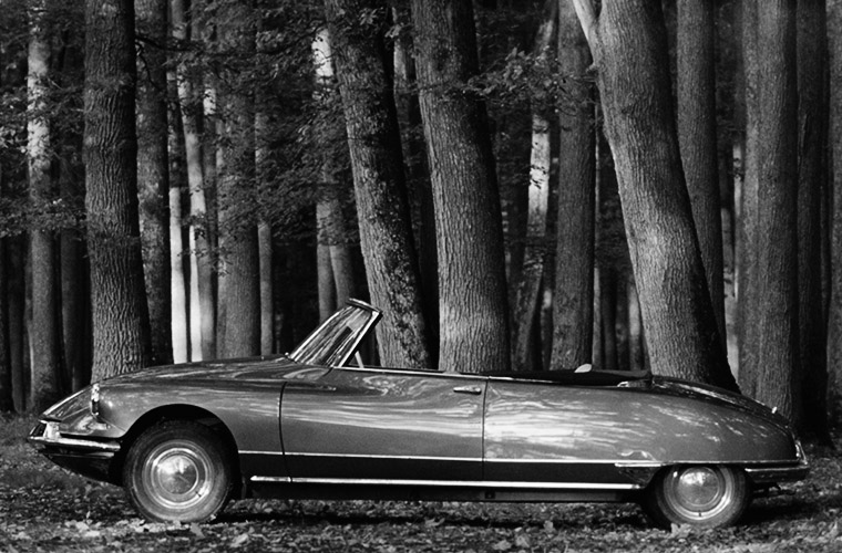 CABRIOLET-760-BREED